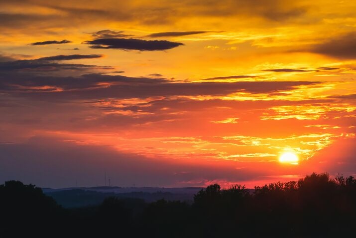 golden morning
