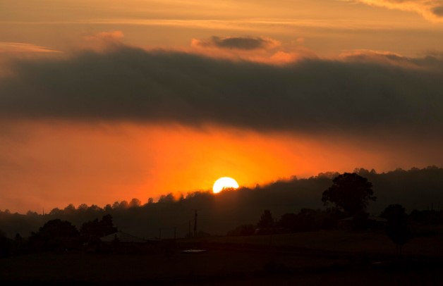 golden morning