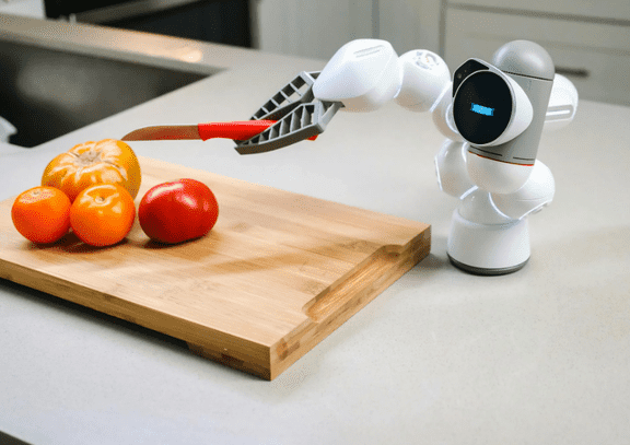 AI Home Robots